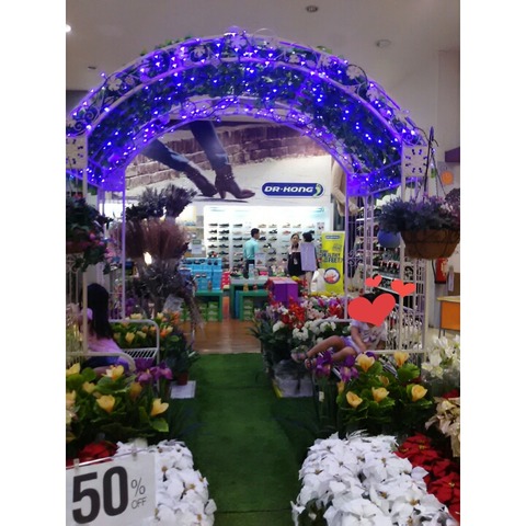 PhotoGrid_1484632072528