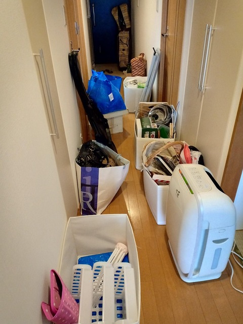 IMG20190501150237_copy_1382x1843a