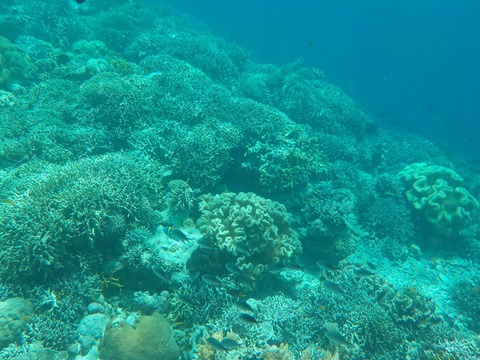 DSCN0643