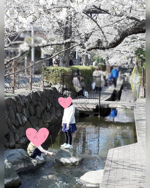 inCollage_20190530_121433230-664x830