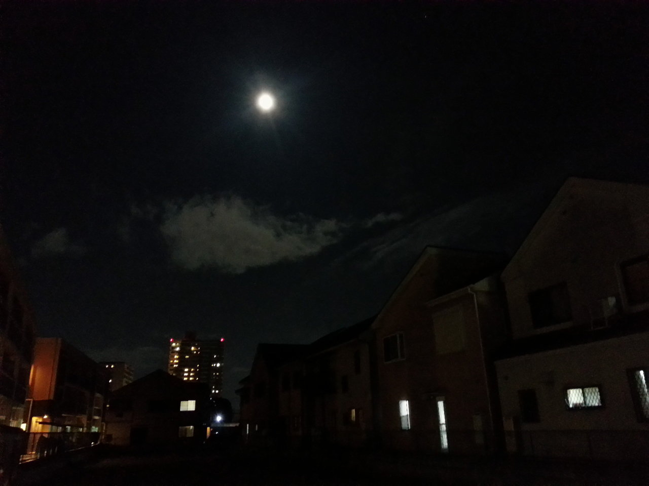 雲がいい 月の明るさを楽しむ泳ぎ 地上の明かりが夜をさらにひきたたせて ふと思い ほうと思う じゃこおろし
