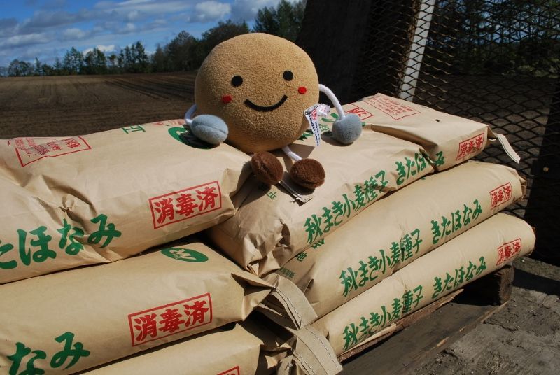 秋まき小麦の播種作業も終盤です jaめむろ 四季だより