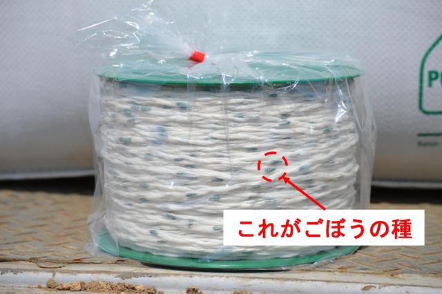 ごぼうの種播き作業を見てきたよ ｊａめむろ 四季だより