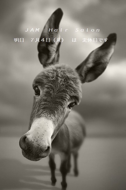 hey-there-8dqmi6dvj-107693-412-640