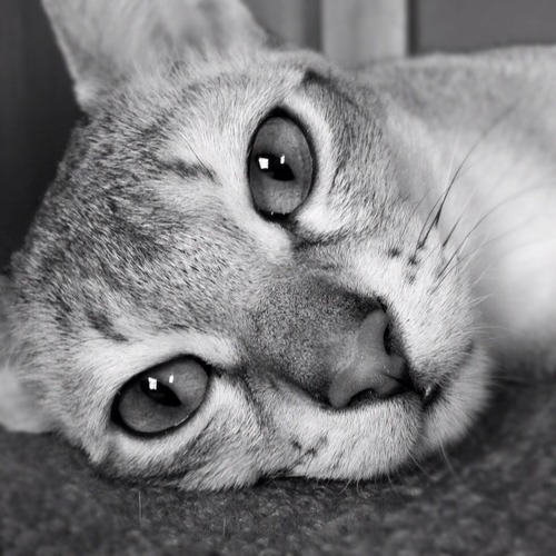 2012-09-02 16:44:03 写真1