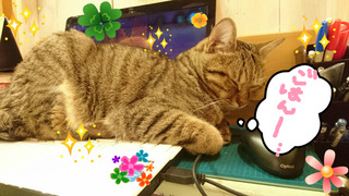 BlogPaint