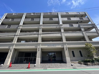 IMG_4230