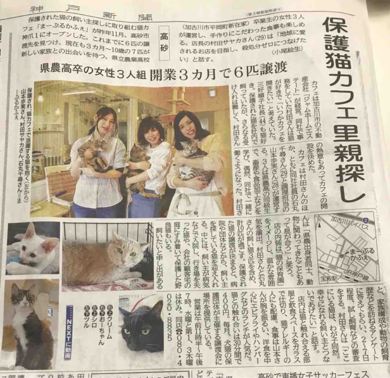 Marble Cafe 神戸新聞 Jam Home エステート スタッフブログ Marble Cafe 神戸新聞 Jam Home エステート スタッフブログ