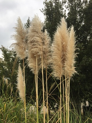 2016-10-19-15-59-34