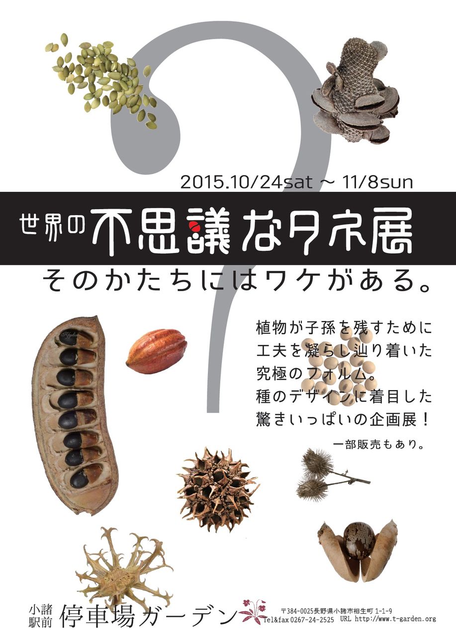 世界の不思議なタネ展 小諸駅前停車場ガーデン ジャムこばやしblog 世界の不思議なタネ展 小諸駅前停車場ガーデン ジャムこばやしblog