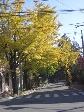 軽井沢紅葉