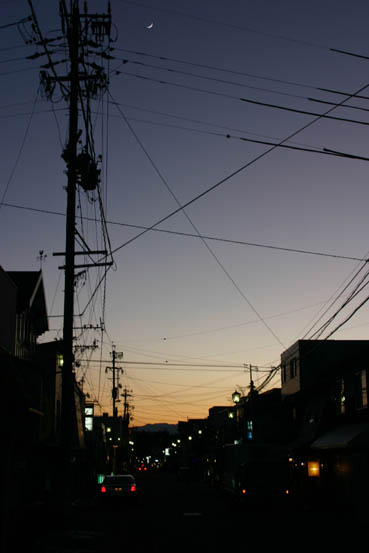 横川 桜