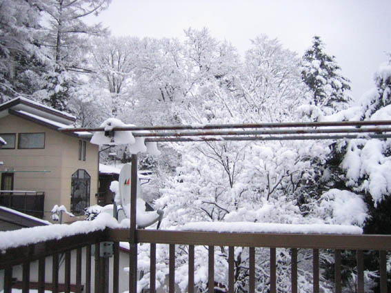 軽井沢 雪