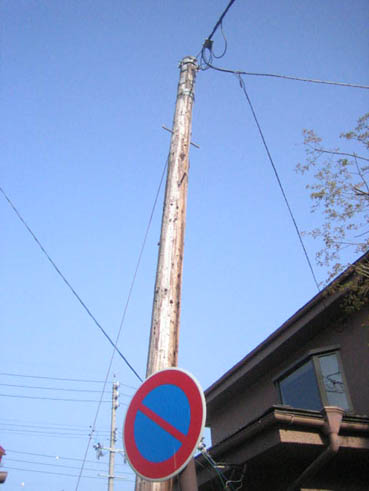 木の電柱