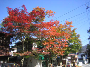 軽井沢紅葉