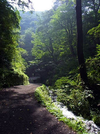 白糸の滝遊歩道