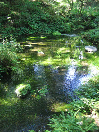 ご膳水