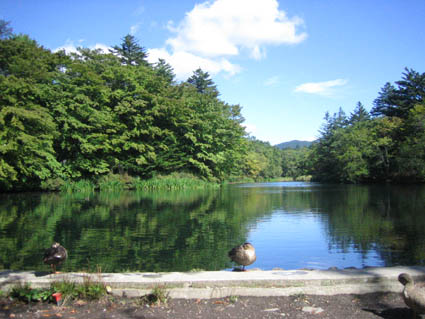 軽井沢雲場池