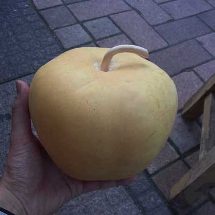 ひょうたんりんご