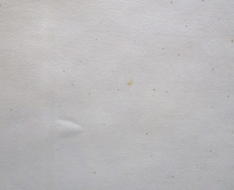 2025-03-17 14.02.58