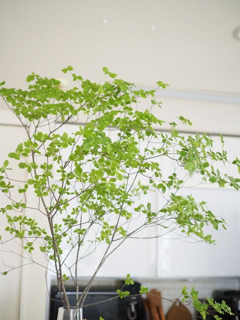 P5265243