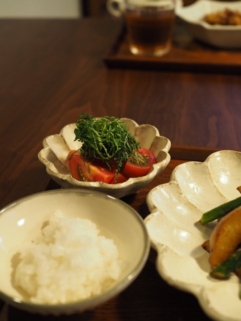P5280983