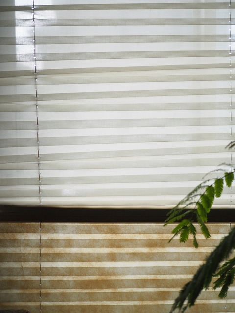 P8254052