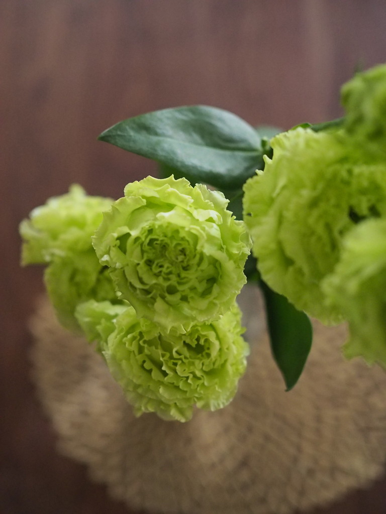 花言葉は 良い語らい ダイニングにピッタリのお花 Jamのおうち ごはんと器とインテリア Powered By ライブドアブログ