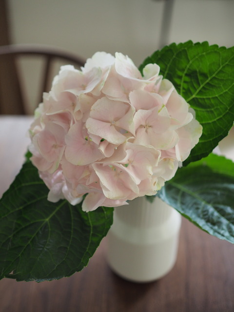 P6235438