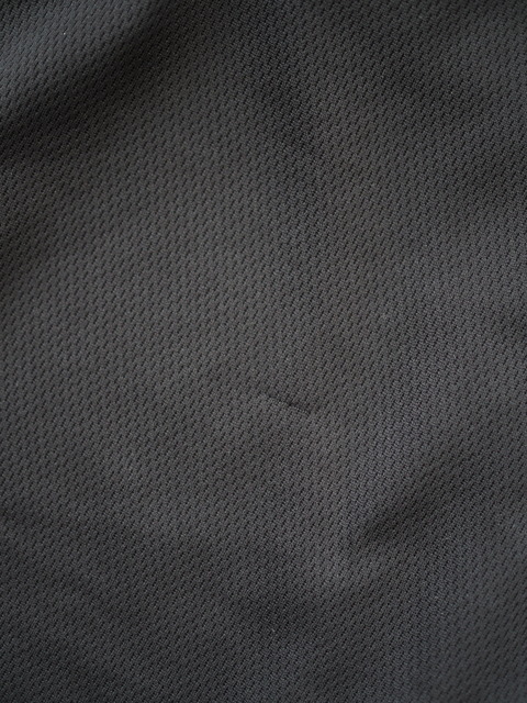 P5031482