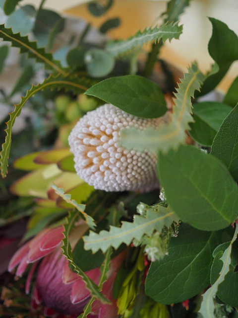 P2079070