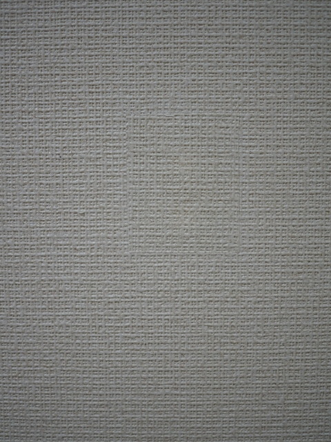P5010648