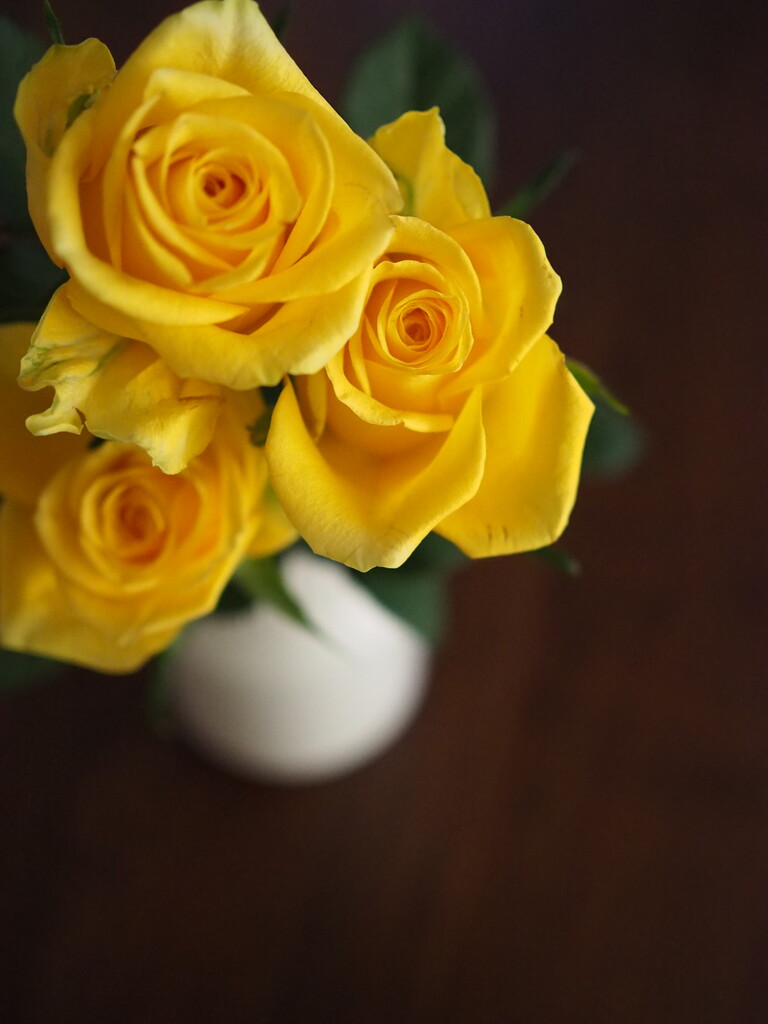 ホワイトデーにもらった黄色い薔薇 その驚きの花言葉とは Jamのおうち ごはんと器とインテリア Powered By ライブドアブログ