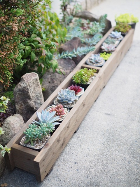 ポット苗を入れるだけで簡単に寄せ植えができちゃう？！お手頃価格の