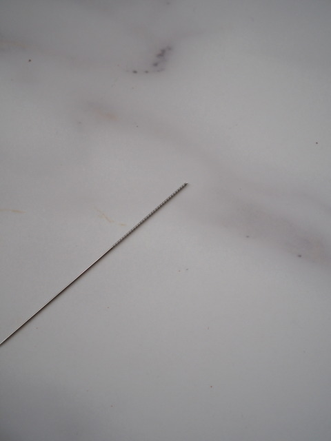 P5031485