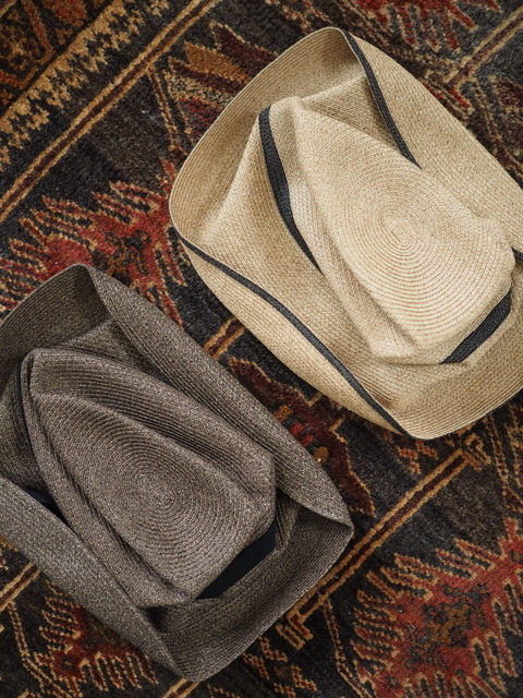 P4290484