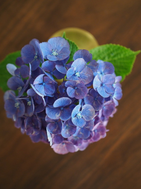 P6291013