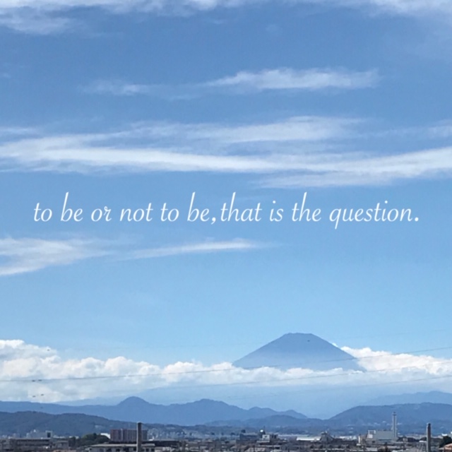 phonto (1)