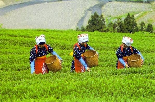 あかねたすきに菅の笠 小人閑居してあれこれもがく
