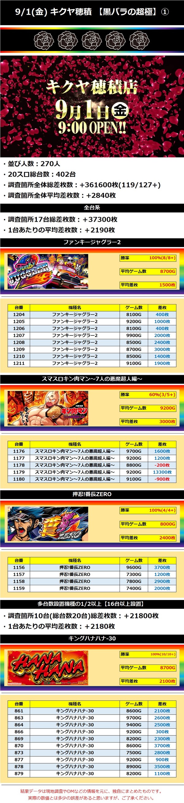 9.1 キクヤ穂積1