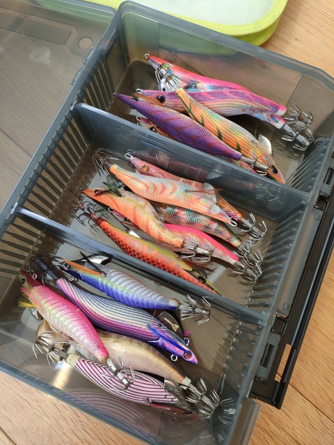 悩 エギ用の収納ケース買ってみた ブログ 愛媛って田舎なん