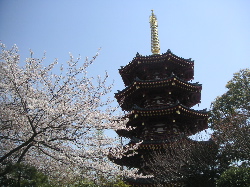 かなまら祭 金山神社 川崎大師河原 J K S Blues