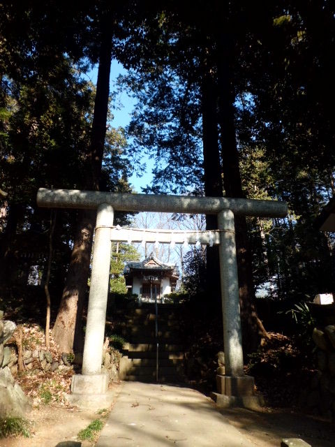 イメージ 16