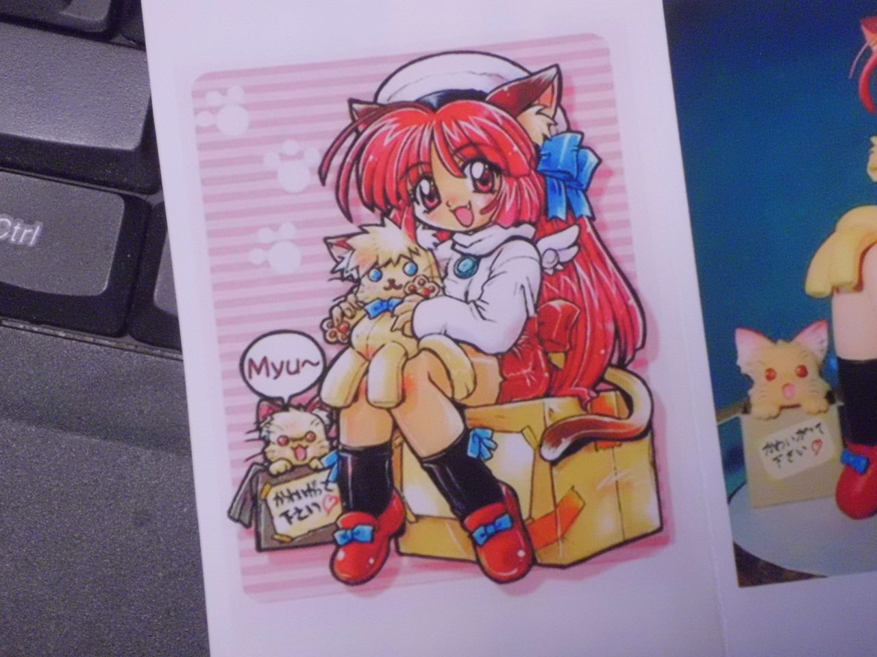イメージ 3