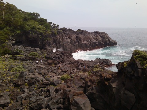PICT0007