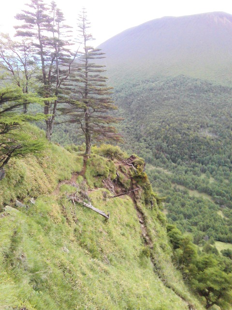 PICT0132