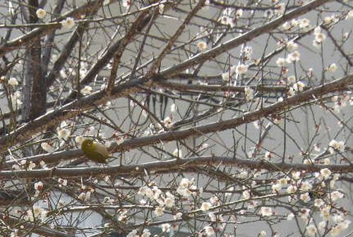20170214N-R