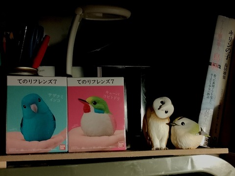 久しぶりに ｶﾜ(・∀・)ｲｲ!!子を招いた。バンダイ