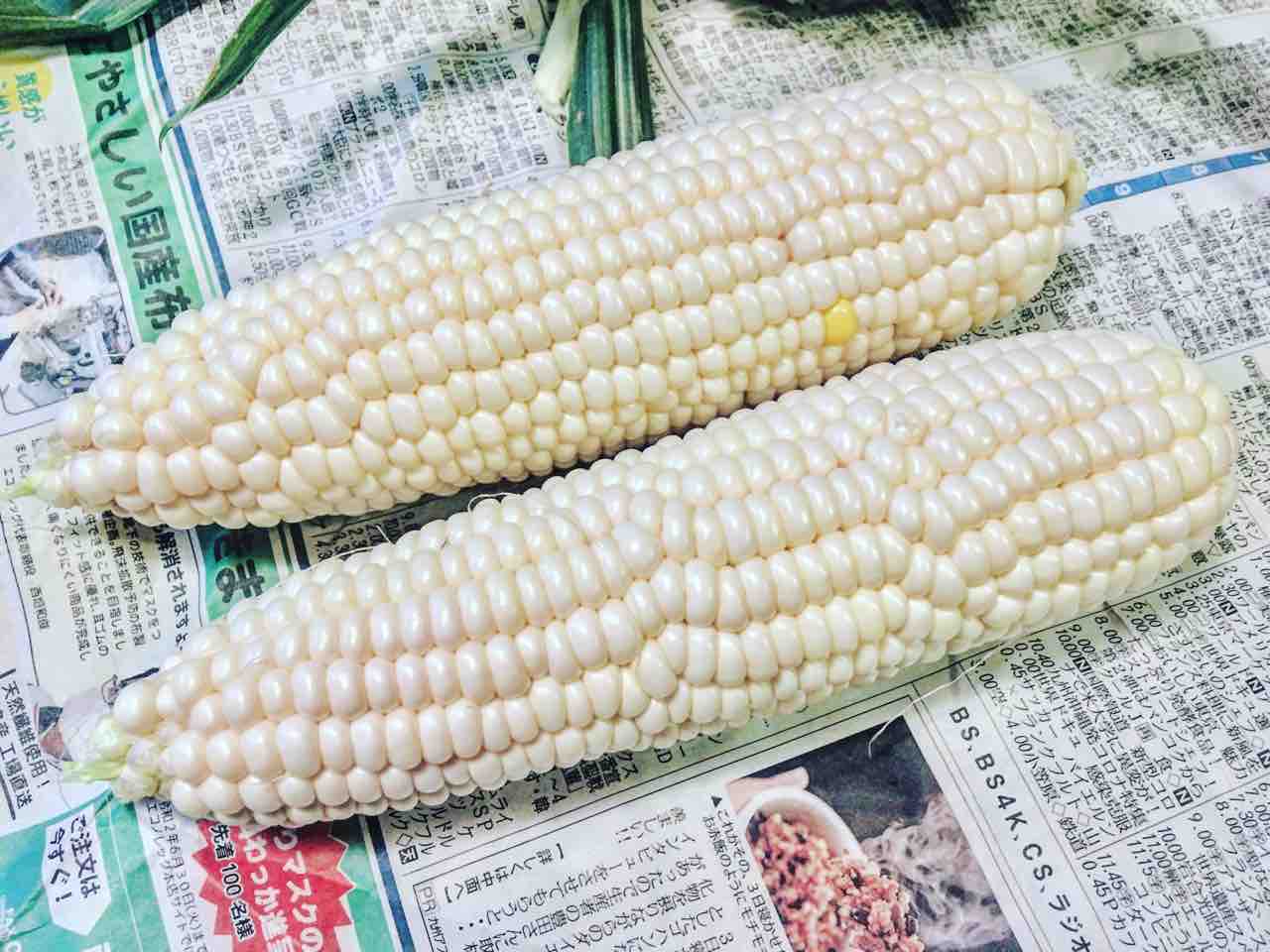 白いトウモロコシ 麻宮百のブログ 白いトウモロコシ 麻宮百のブログ