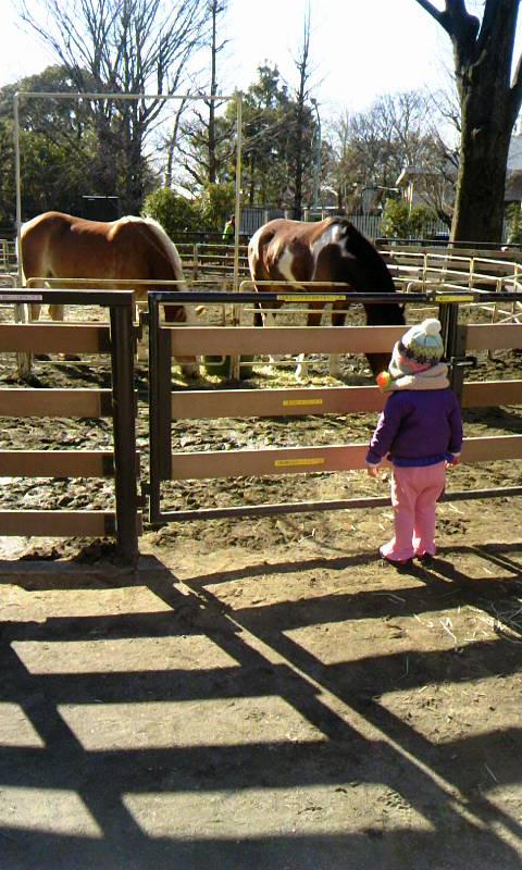 代々木ポニー公園 麻宮百のブログ 代々木ポニー公園 麻宮百のブログ